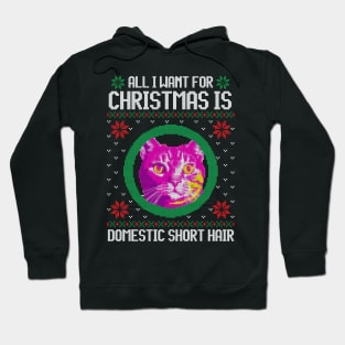 All I Want for Christmas is Domestic Short Hair - Christmas Gift for Cat Lover Hoodie